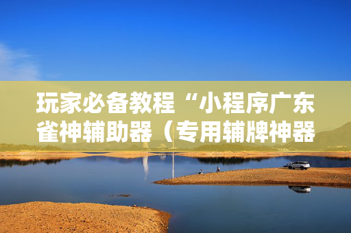 玩家必备教程“小程序广东雀神辅助器（专用辅牌神器免安装）