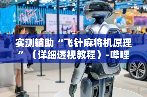 实测辅助“飞针麻将机原理”（详细透视教程）-哔哩哔哩