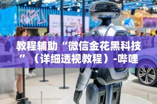 教程辅助“微信金花黑科技”（详细透视教程）-哔哩哔哩