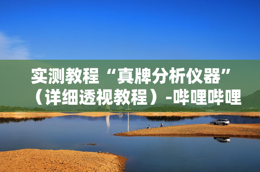 实测教程“真牌分析仪器”（详细透视教程）-哔哩哔哩