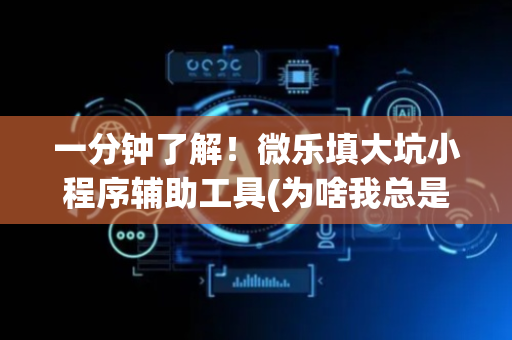 一分钟了解！微乐填大坑小程序辅助工具(为啥我总是输)