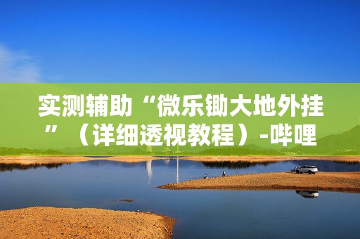 实测辅助“微乐锄大地外挂”（详细透视教程）-哔哩哔哩