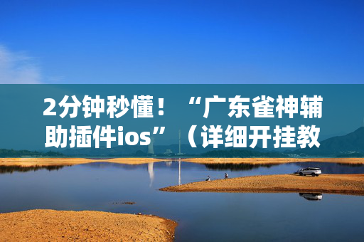 2分钟秒懂！“广东雀神辅助插件ios”（详细开挂教程）-哔哩哔哩