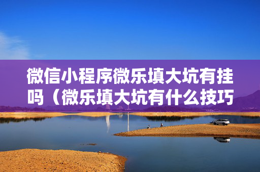 微信小程序微乐填大坑有挂吗（微乐填大坑有什么技巧）