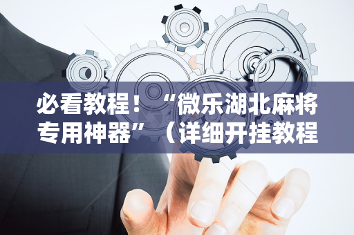 必看教程！“微乐湖北麻将专用神器”（详细开挂教程）-哔哩哔哩