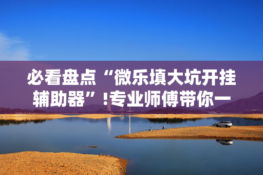 必看盘点“微乐填大坑开挂辅助器”!专业师傅带你一起了解（详细教程）-抖音
