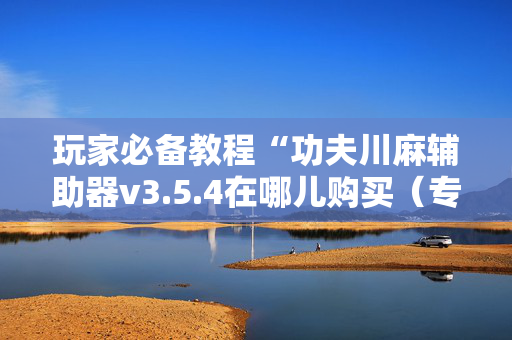 玩家必备教程“功夫川麻辅助器v3.5.4在哪儿购买（专用辅牌神器免安装）