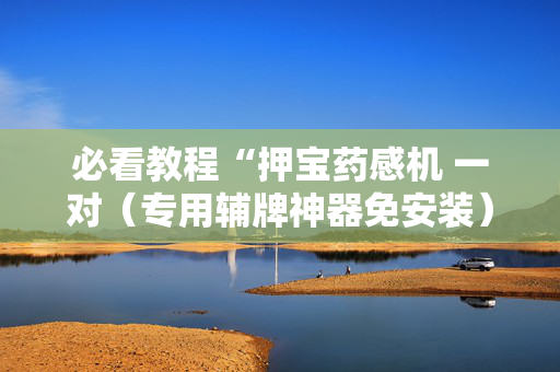 必看教程“押宝药感机 一对（专用辅牌神器免安装）