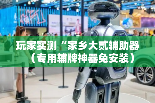 玩家实测“家乡大贰辅助器（专用辅牌神器免安装）