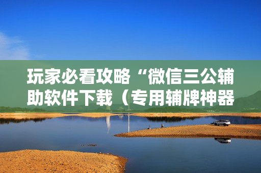 玩家必看攻略“微信三公辅助软件下载（专用辅牌神器免安装）