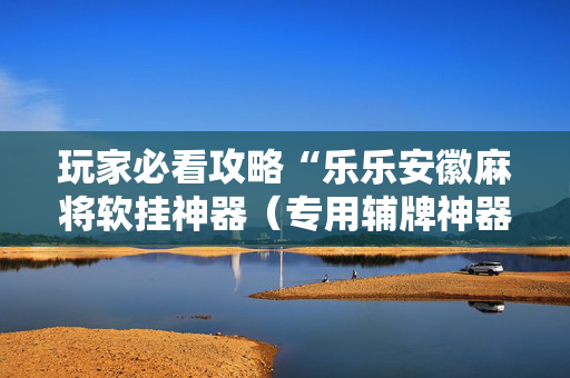 玩家必看攻略“乐乐安徽麻将软挂神器（专用辅牌神器免安装）