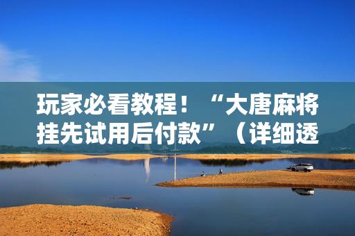 玩家必看教程！“大唐麻将挂先试用后付款”（详细透视教程）-哔哩哔哩