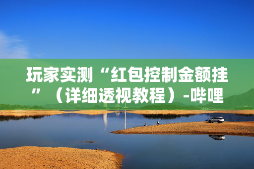 玩家实测“红包控制金额挂”（详细透视教程）-哔哩哔哩