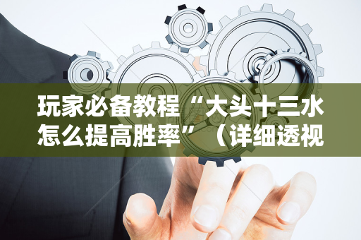 玩家必备教程“大头十三水怎么提高胜率”（详细透视教程）-哔哩哔哩