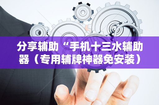 分享辅助“手机十三水辅助器（专用辅牌神器免安装）