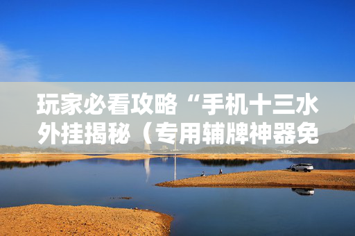 玩家必看攻略“手机十三水外挂揭秘（专用辅牌神器免安装）