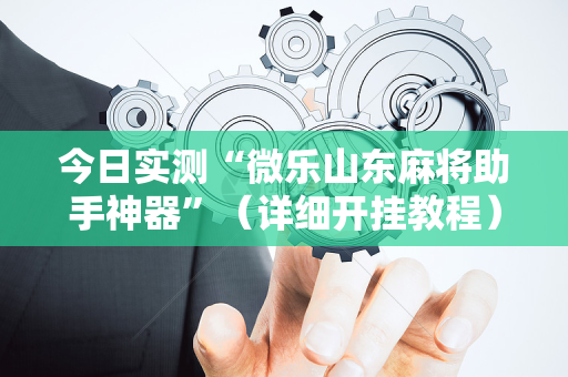 今日实测“微乐山东麻将助手神器”（详细开挂教程）-哔哩哔哩