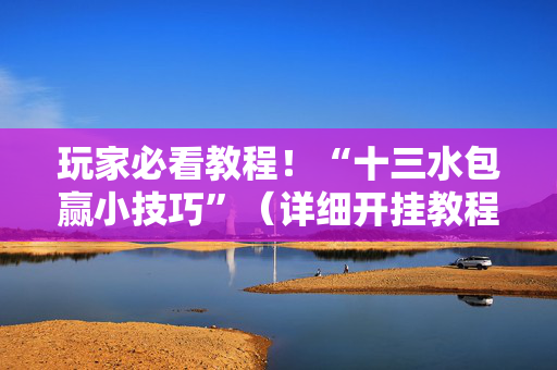 玩家必看教程！“十三水包赢小技巧”（详细开挂教程）-哔哩哔哩