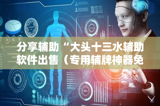 分享辅助“大头十三水辅助软件出售（专用辅牌神器免安装）