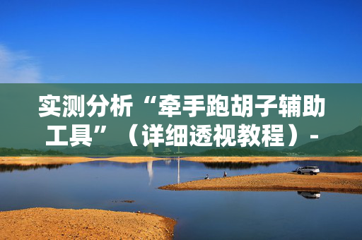 实测分析“牵手跑胡子辅助工具”（详细透视教程）-哔哩哔哩