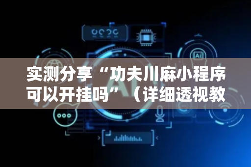 实测分享“功夫川麻小程序可以开挂吗”（详细透视教程）-哔哩哔哩