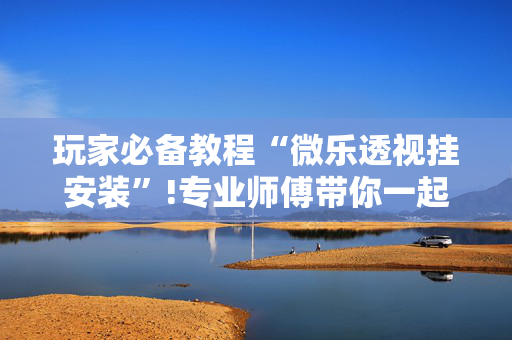 玩家必备教程“微乐透视挂安装”!专业师傅带你一起了解（详细教程）-抖音