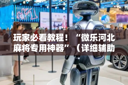玩家必看教程！“微乐河北麻将专用神器”（详细辅助教程）-哔哩哔哩