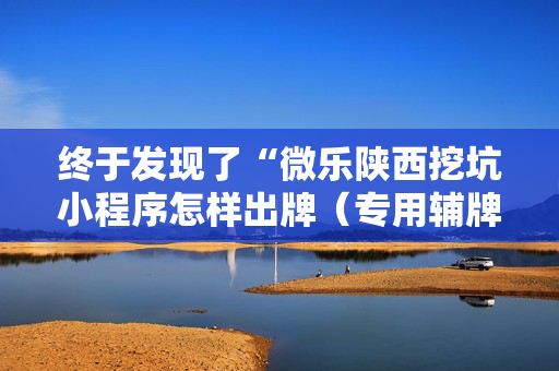 终于发现了“微乐陕西挖坑小程序怎样出牌（专用辅牌神器免安装）