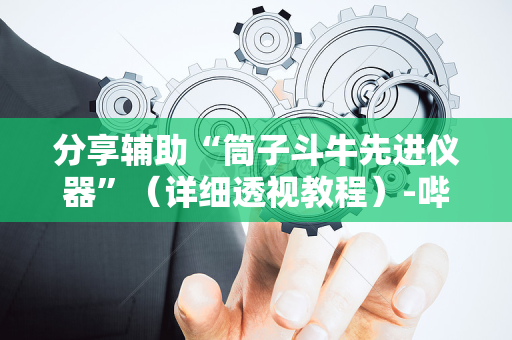 分享辅助“筒子斗牛先进仪器”（详细透视教程）-哔哩哔哩