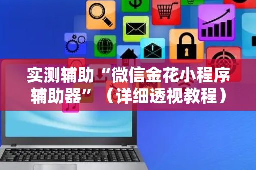 实测辅助“微信金花小程序辅助器”（详细透视教程）-哔哩哔哩