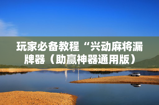 玩家必备教程“兴动麻将漏牌器（助赢神器通用版）
