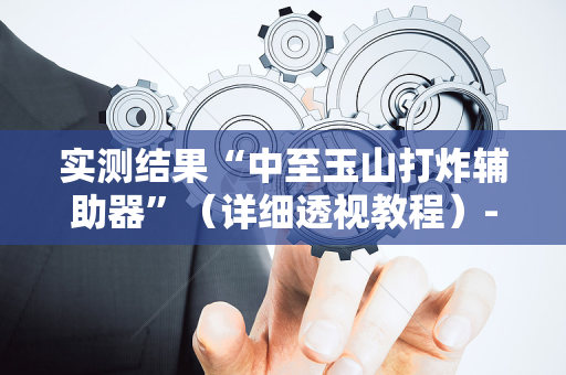实测结果“中至玉山打炸辅助器”（详细透视教程）-哔哩哔哩