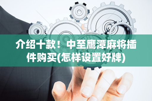 介绍十款！中至鹰潭麻将插件购买(怎样设置好牌)