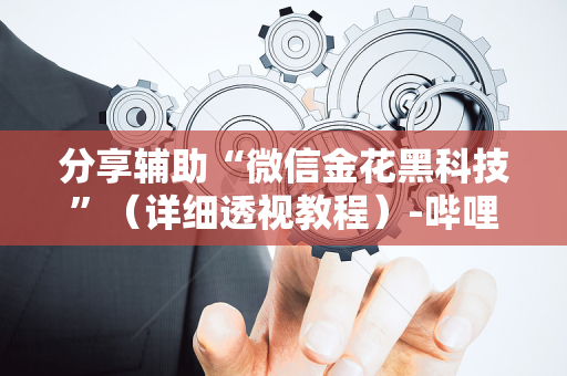 分享辅助“微信金花黑科技”（详细透视教程）-哔哩哔哩