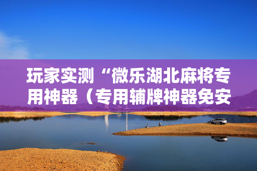 玩家实测“微乐湖北麻将专用神器（专用辅牌神器免安装）
