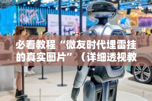 必看教程“微友时代埋雷挂的真实图片”（详细透视教程）-哔哩哔哩