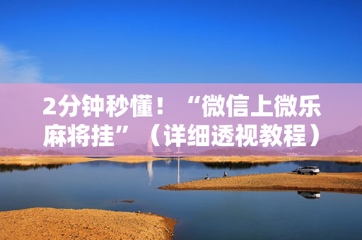 2分钟秒懂！“微信上微乐麻将挂”（详细透视教程）-哔哩哔哩