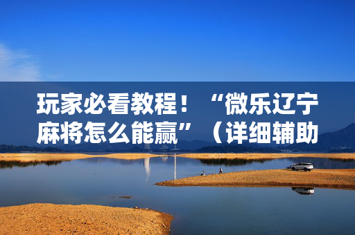 玩家必看教程！“微乐辽宁麻将怎么能赢”（详细辅助教程）-哔哩哔哩