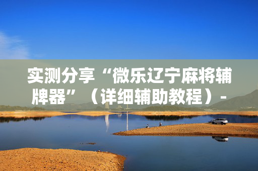 实测分享“微乐辽宁麻将辅牌器”（详细辅助教程）-哔哩哔哩