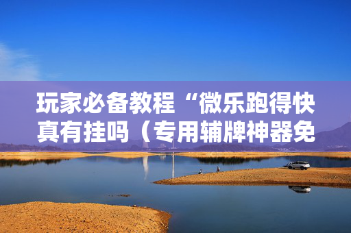玩家必备教程“微乐跑得快真有挂吗（专用辅牌神器免安装）