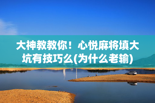 大神教教你！心悦麻将填大坑有技巧么(为什么老输)