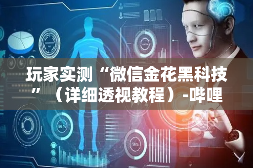 玩家实测“微信金花黑科技”（详细透视教程）-哔哩哔哩