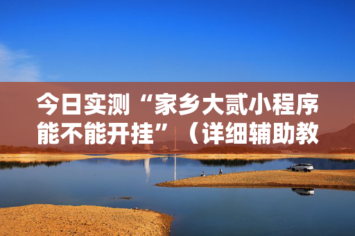 今日实测“家乡大贰小程序能不能开挂”（详细辅助教程）-哔哩哔哩