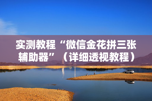 实测教程“微信金花拼三张辅助器”（详细透视教程）-哔哩哔哩