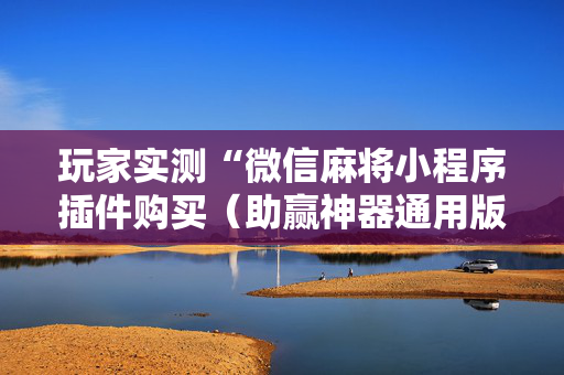 玩家实测“微信麻将小程序插件购买（助赢神器通用版）