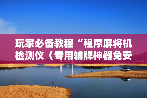 玩家必备教程“程序麻将机检测仪（专用辅牌神器免安装）