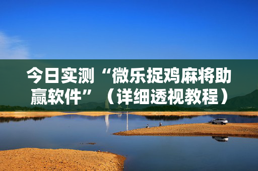 今日实测“微乐捉鸡麻将助赢软件”（详细透视教程）-哔哩哔哩