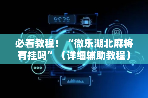 必看教程！“微乐湖北麻将有挂吗”（详细辅助教程）-哔哩哔哩