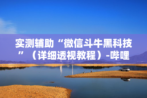 实测辅助“微信斗牛黑科技”（详细透视教程）-哔哩哔哩