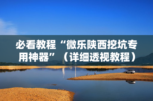 必看教程“微乐陕西挖坑专用神器”（详细透视教程）-哔哩哔哩